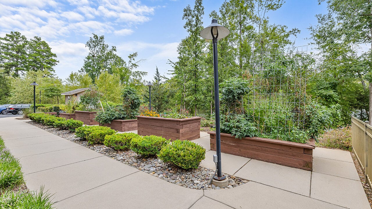 The gardens at Williams Place